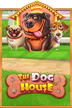dog-house