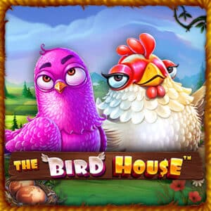 Slot The Bird House