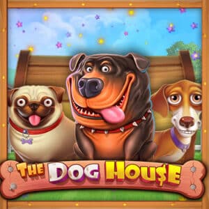 Slot The Dog House