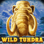 Wild Tundra สล็อต Red Tiger