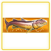 เกมสล็อตนักตกปลา Red Tiger
