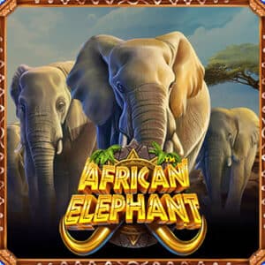 African Elephant ez