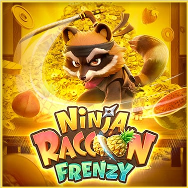 Ninja raccoon frenzy